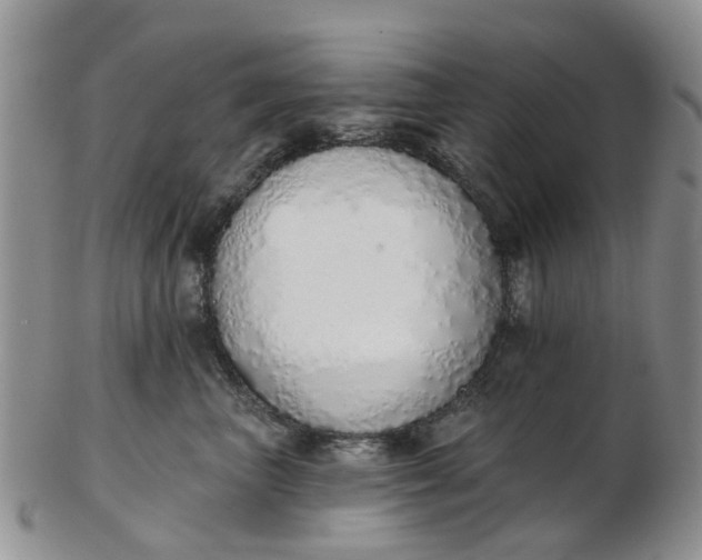 X0000103170667200809051723