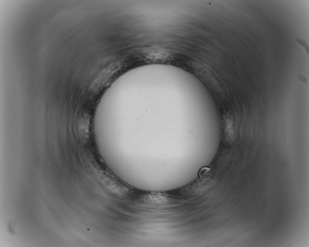 X0000103170668200809051723