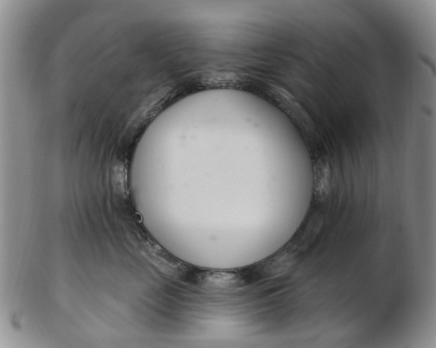 X0000103170669200809051723