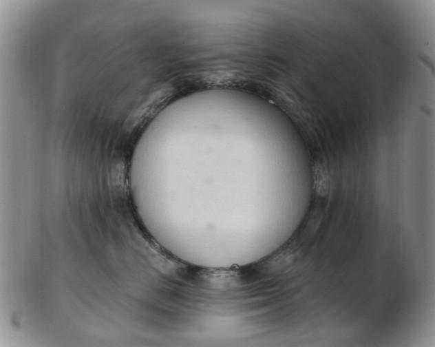 X0000103170670200809051723