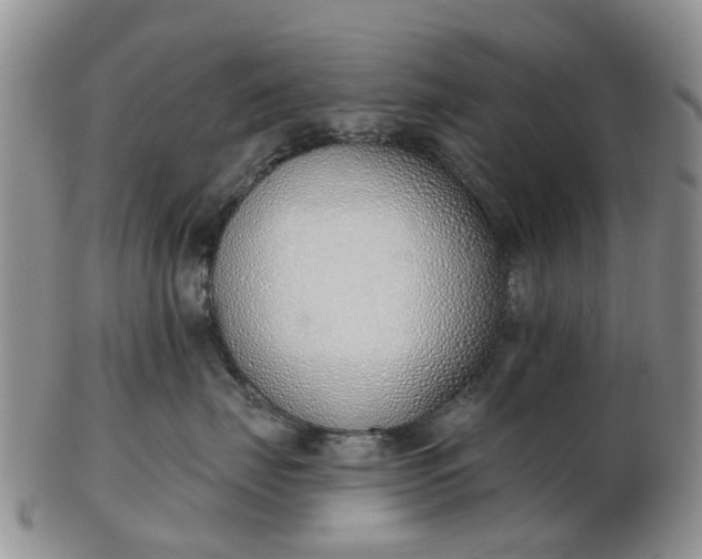 X0000103170671200809051723