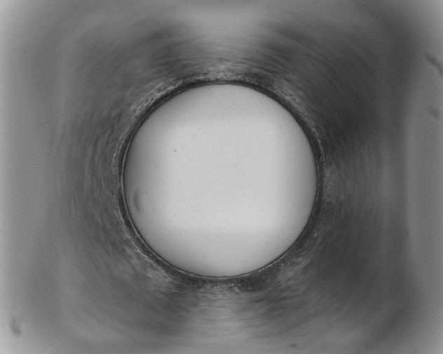 X0000103170673200809051722