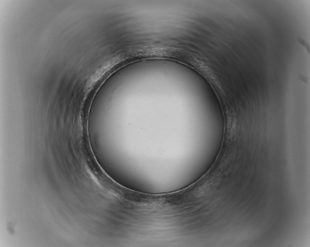 X0000103170674200809051722