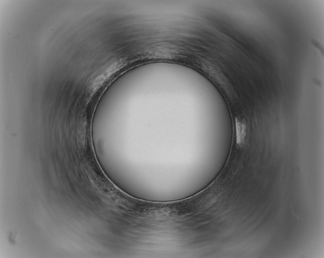 X0000103170675200809051722