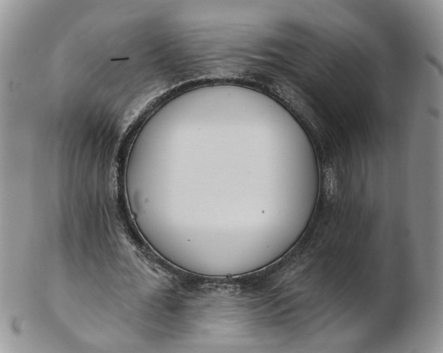 X0000103170676200809051722