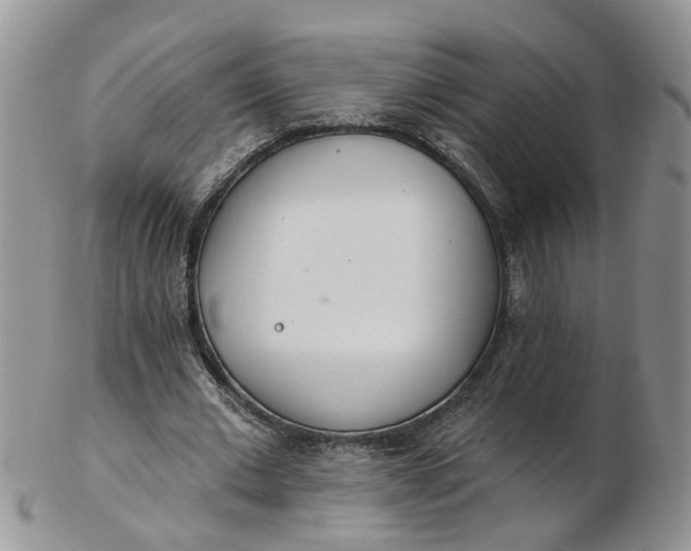 X0000103170677200809051722