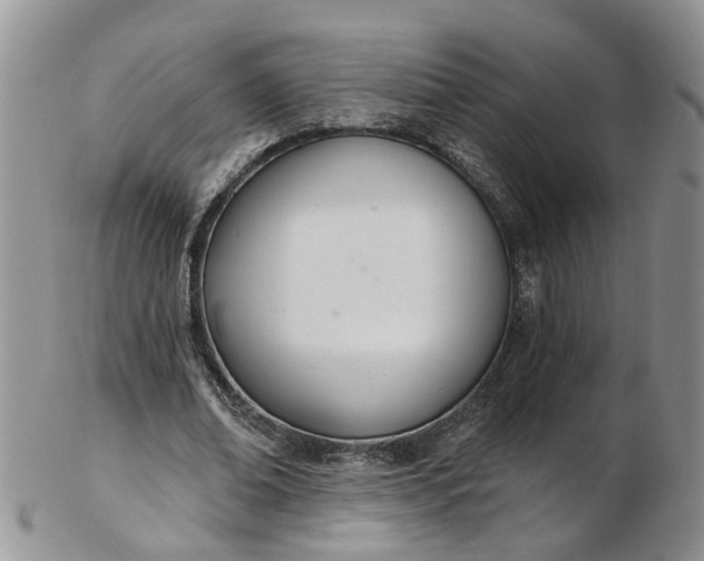 X0000103170678200809051722