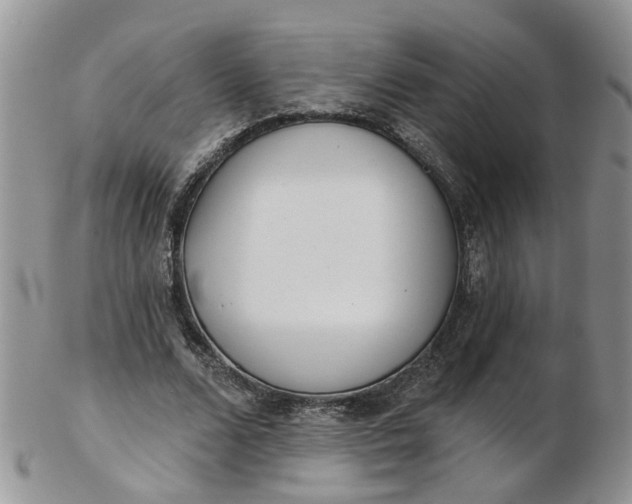 X0000103170680200809051722