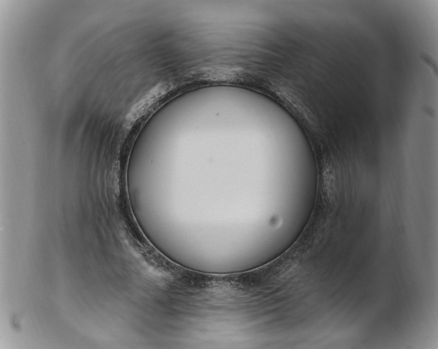 X0000103170682200809051722