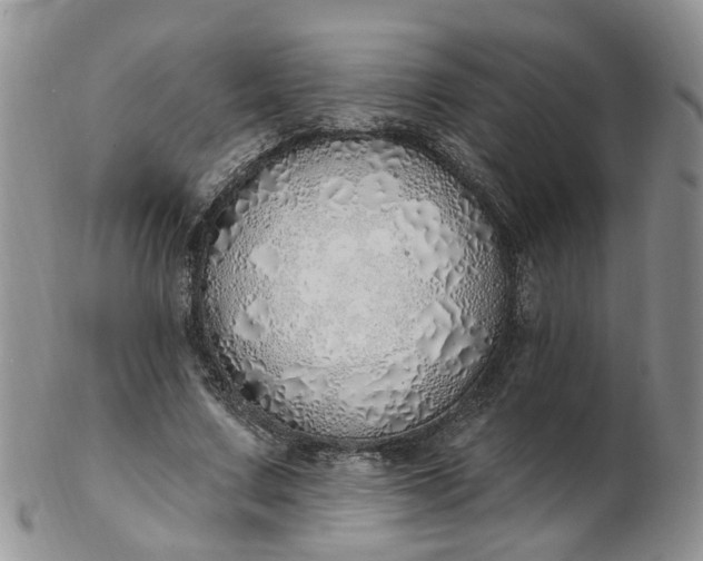 X0000103170683200809051722