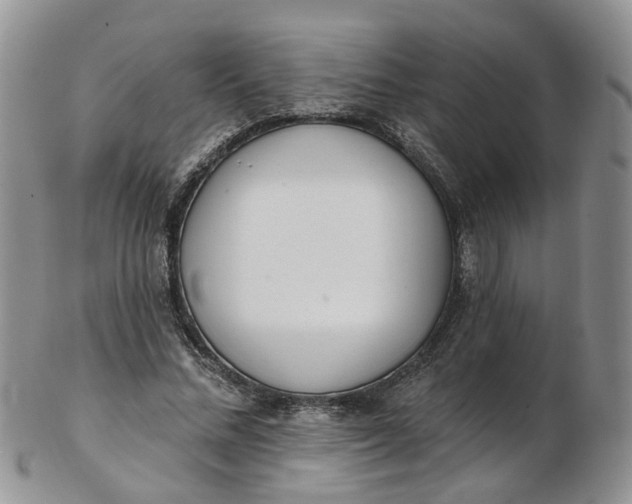 X0000103170684200809051722