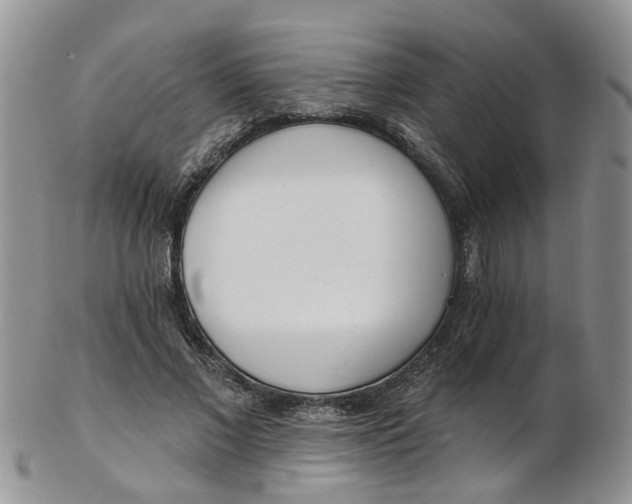 X0000103170685200809051722