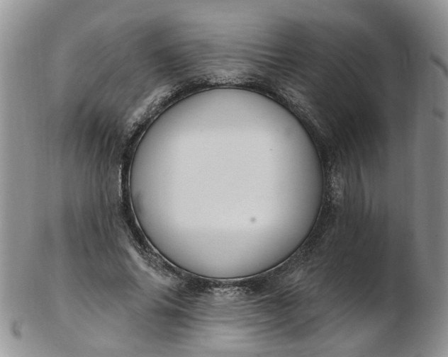 X0000103170686200809051722