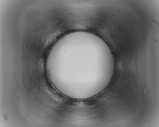 X0000103170688200809051722