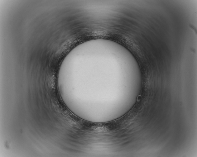 X0000103170689200809051722