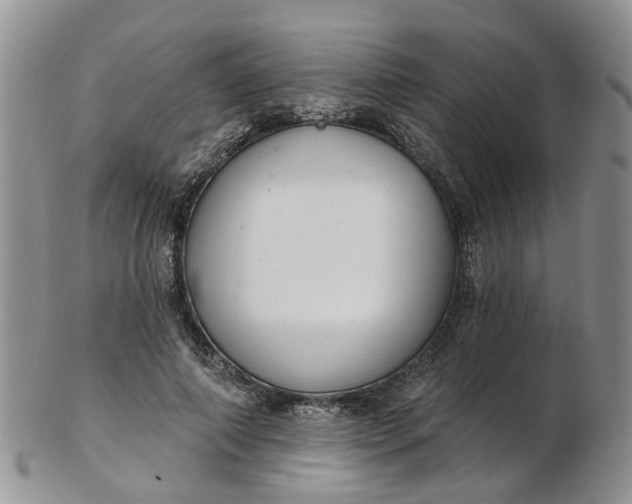 X0000103170690200809051722