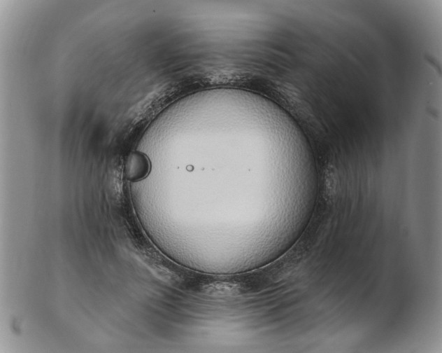 X0000103170691200809051722