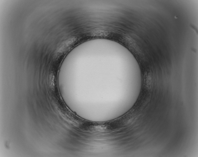 X0000103170692200809051722