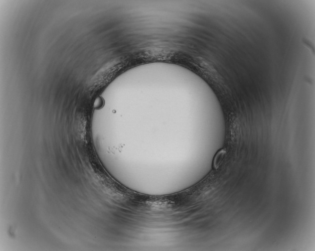 X0000103170693200809051722