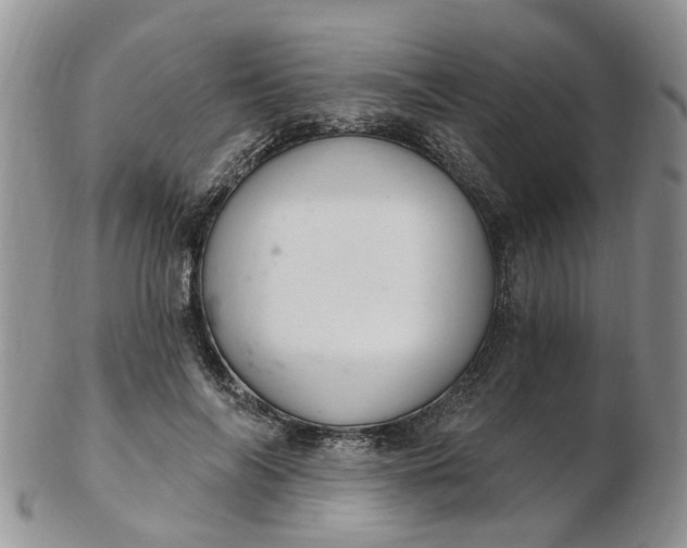 X0000103170694200809051722