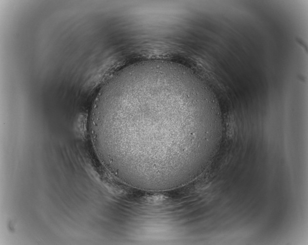 X0000103170695200809051722