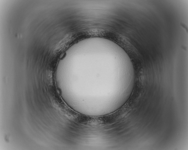 X0000103170696200809051722