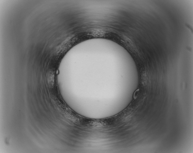 X0000103170697200809051722