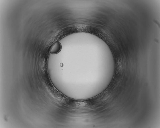 X0000103170698200809051722