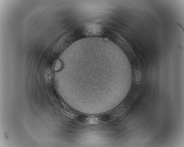 X0000103170701200809051722