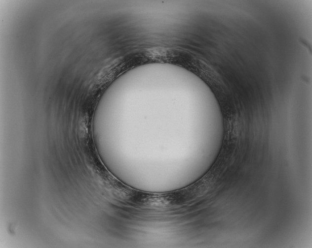 X0000103170702200809051722