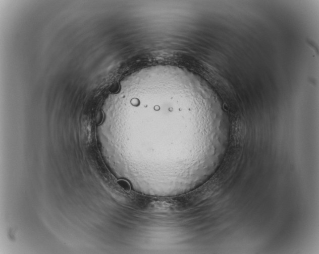 X0000103170703200809051722