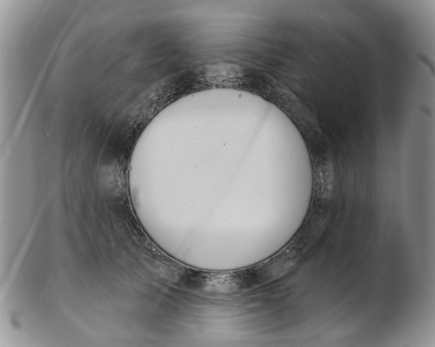 X0000103170705200809051722