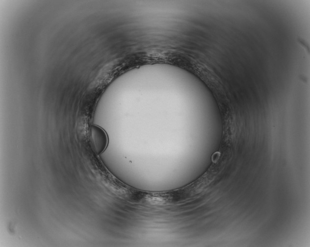 X0000103170706200809051722