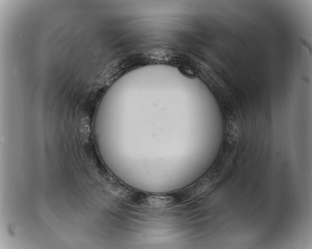 X0000103170707200809051722