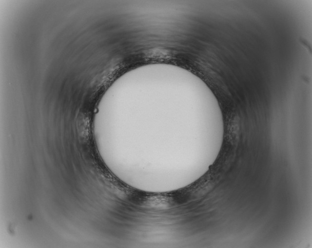 X0000103170708200809051722