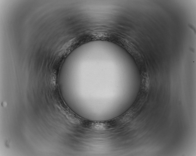 X0000103170710200809051722