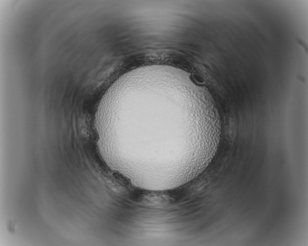 X0000103170712200809051722