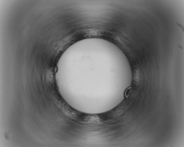 X0000103170715200809051722