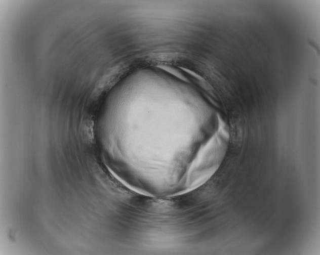 X0000103170718200809051722