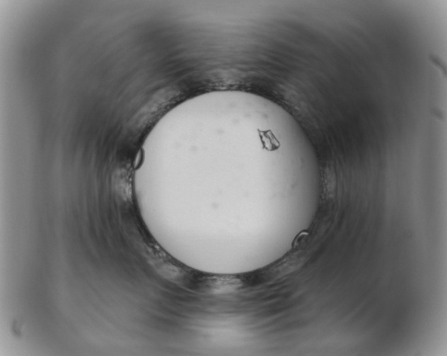 X0000103170719200809051722