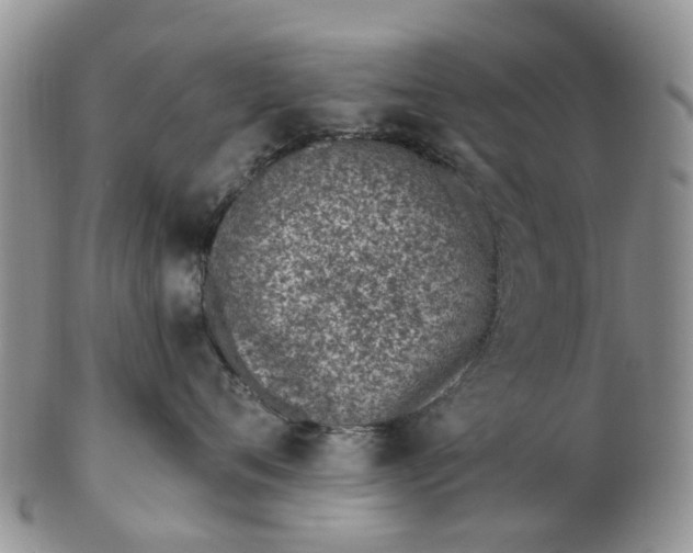 X0000103170720200809051722