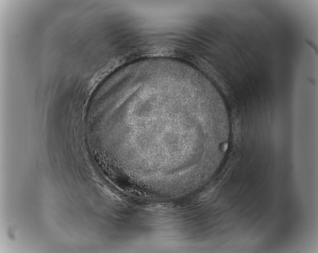 X0000103170721200809051721