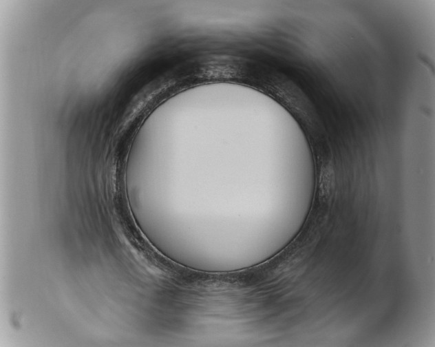 X0000103170722200809051721