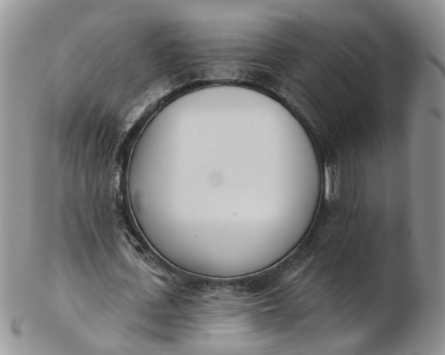 X0000103170723200809051721