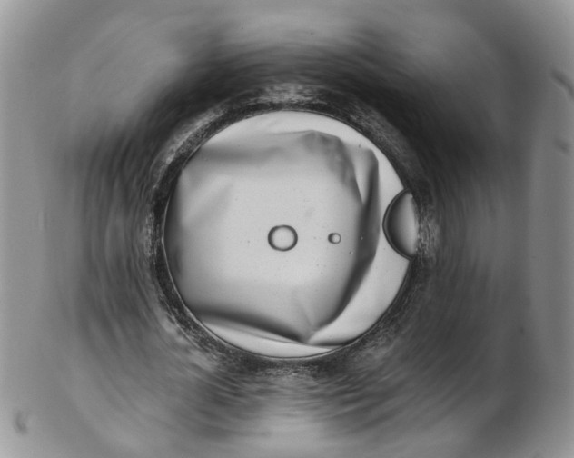 X0000103170724200809051721