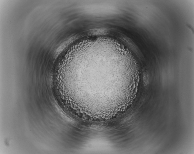 X0000103170725200809051721