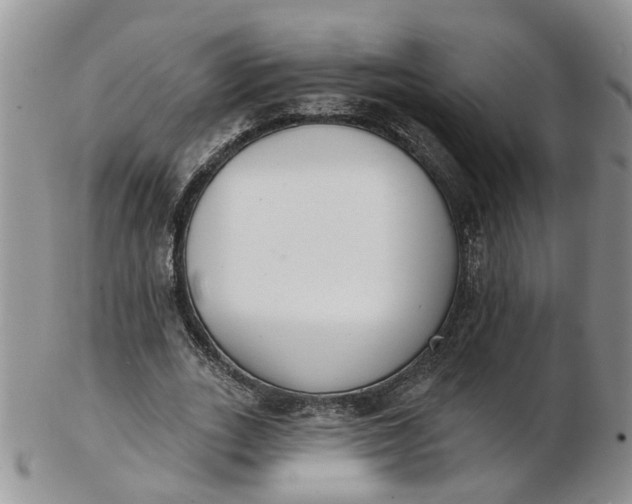 X0000103170727200809051721