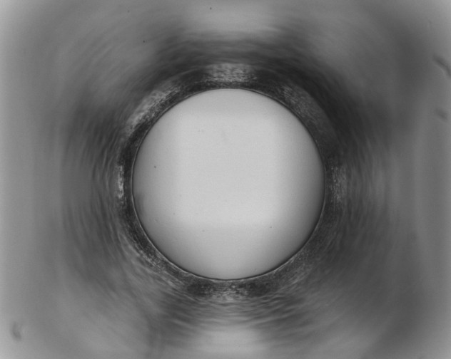 X0000103170731200809051721