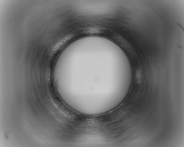 X0000103170732200809051721