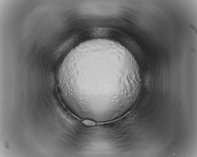 X0000103170733200809051721